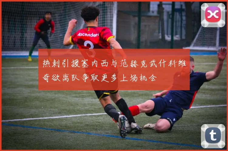 热刺引援塞内西与范赫克武什科维奇欲离队争取更多上场机会
